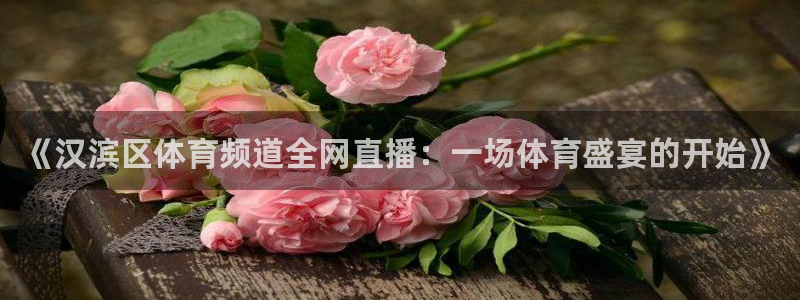 球友体育下载：《汉滨区体育频道全网直播：一场体育盛宴的开始》