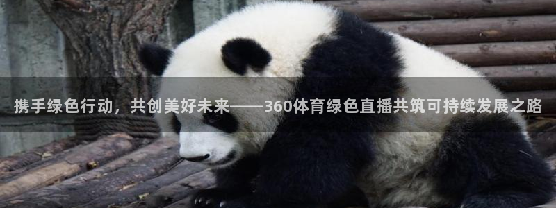 球友体育免费看nba：携手绿色行动，共创美好未来——360体育绿色直播共筑可持续发展之路
