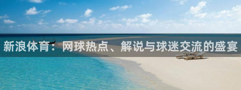 qy球友会体育网址：新浪体育：网球热点、解说与球迷交流的盛宴