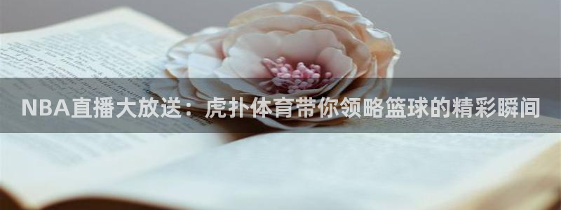 球友体育：NBA直播大放送：虎扑体育带你领略篮球的精彩瞬间