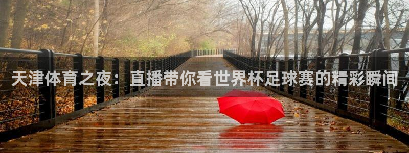 球友体育app免费看球：天津体育之夜：直播带你看世界杯足球赛的精彩瞬间
