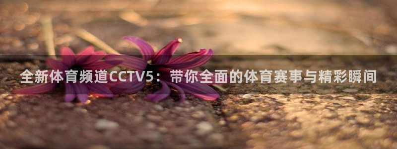 球友直播nba在线直播：全新体育频道CCTV5：带你全面的体育赛事与精彩瞬间