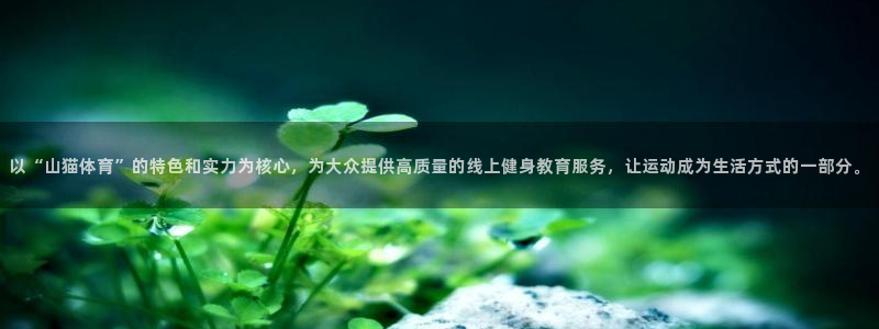 球友直播：以“山猫体育”的特色和实力为核心，为大众提供高质量的线上健身教育服务，让运动成为生活方式的一部分。