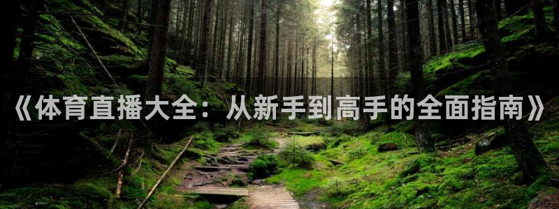 球友体育在线直播观看：《体育直播大全：从新手到高手的全面指南》